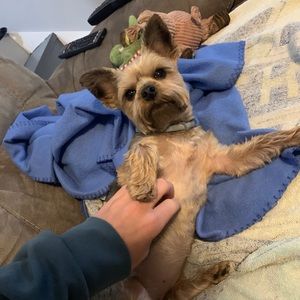 Meet your Posher, Jayden